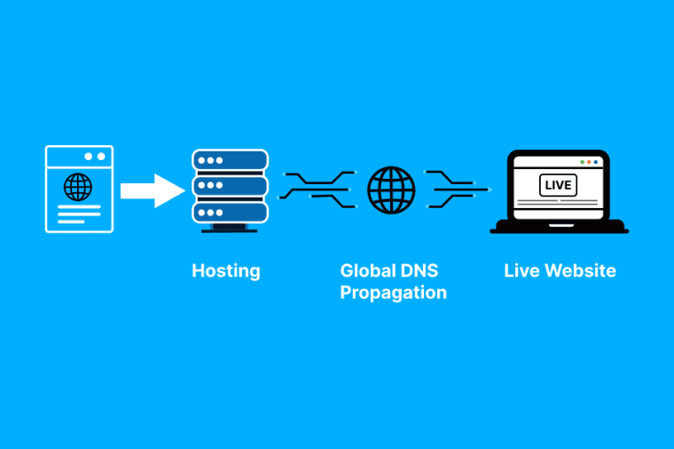 Beginner’s Web Hosting Roadmap: From Domain to Live Website