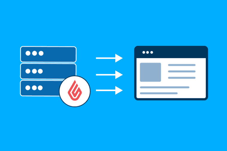 What is LiteSpeed Web Server in Web Hosting?