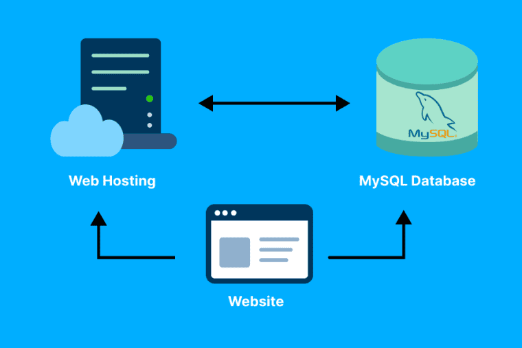 What is MySQL Database in Web Hosting?