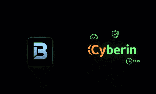 BigRock vs Cyberin: Best Hosting for Small Businesses