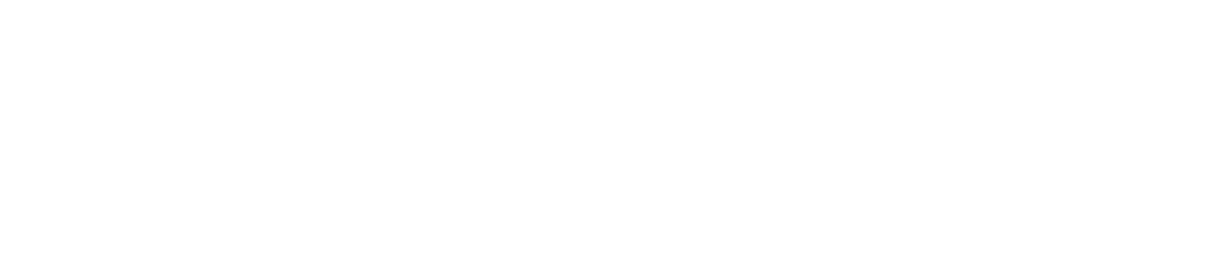 DelhiStartups Initiative